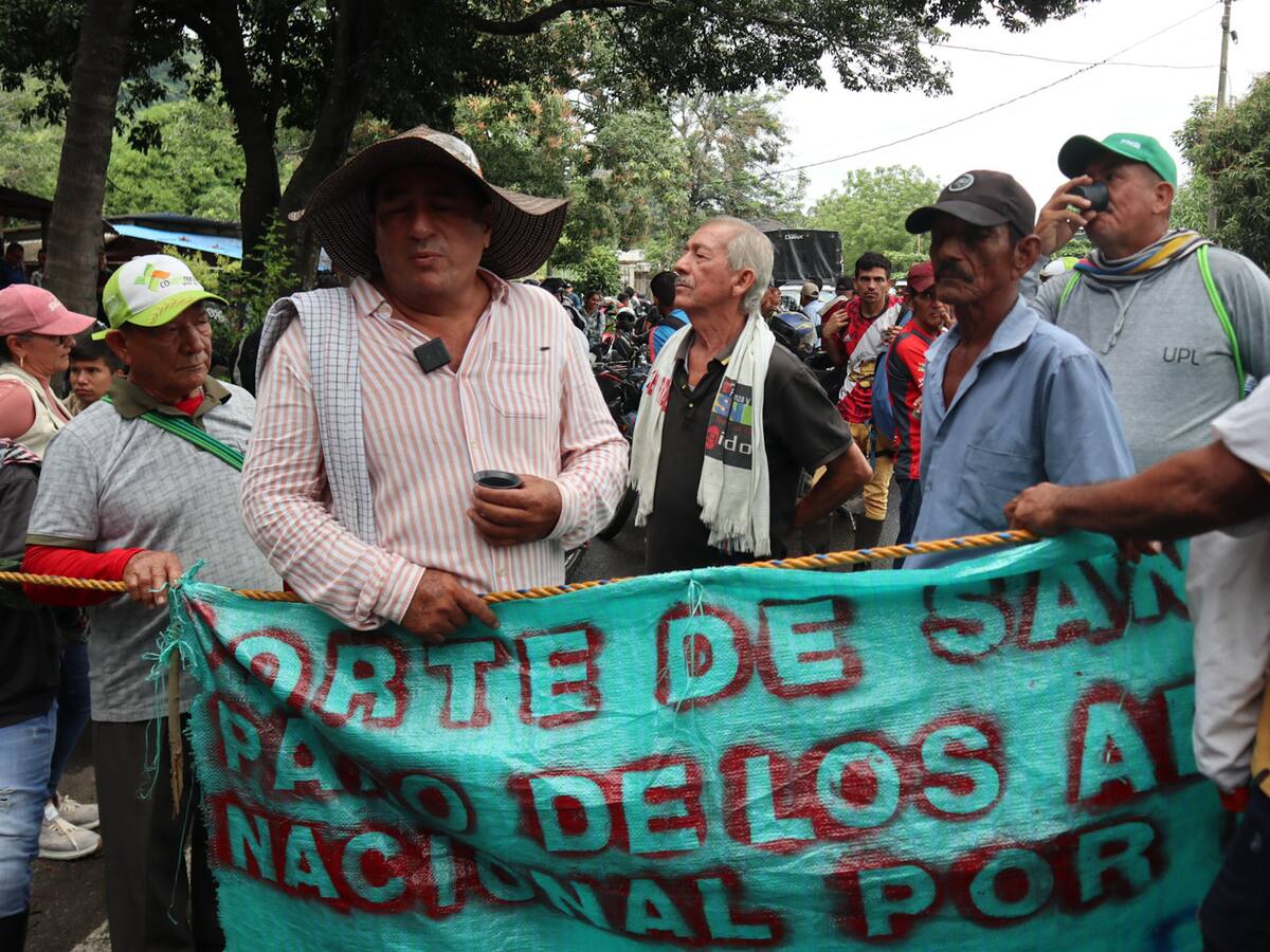 $ 10.000 millones no alcanzan para solucionar problema actual: dice vocero de arroceros a Gobierno
