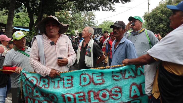 $ 10.000 millones no alcanzan para solucionar problema actual: dice vocero de arroceros a Gobierno