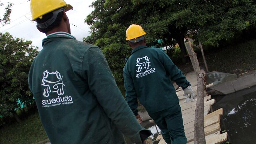 Alcladía dice que fallo judicial no cambia los proyectos en los humedales. Foto: Colprensa