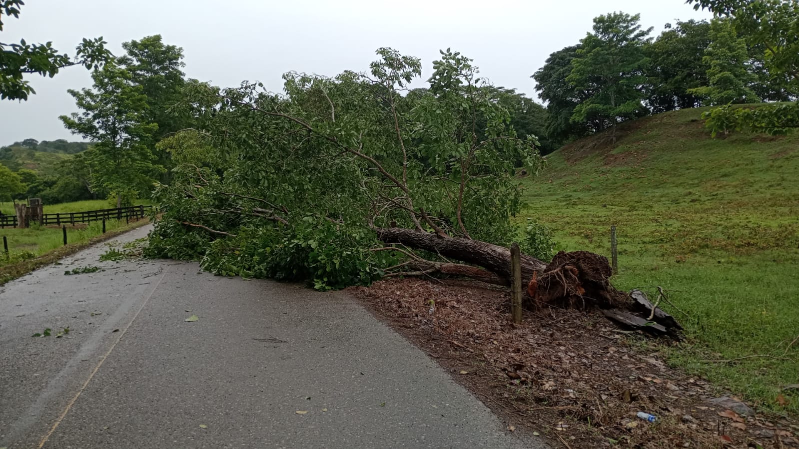 Reportan afectaciones en el 50% del territorio cordobés por fuertes lluvias e intensos vientos. Foto: cortesía Defensa Civil.