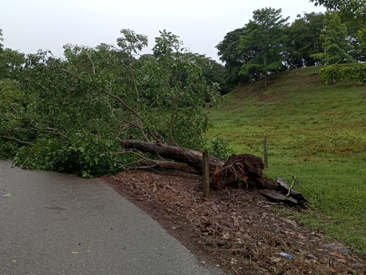 Reportan afectaciones en el 50% del territorio cordobés por fuertes lluvias e intensos vientos