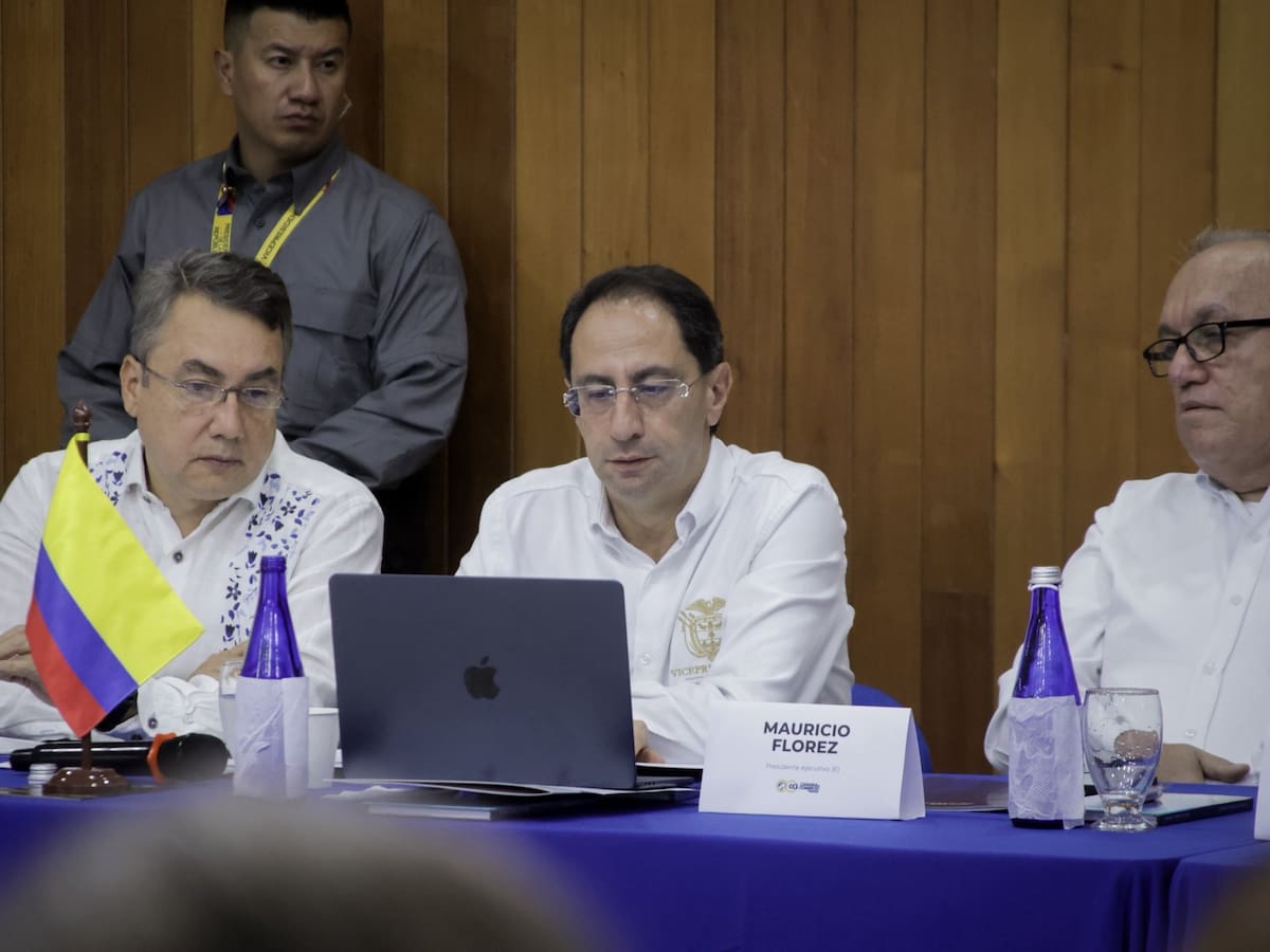 Propuesta del vicepresidente Restrepo sobre minerales de Tolima desató choque político