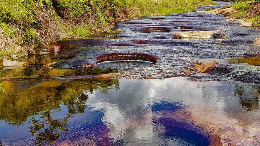 Las Gachas . Foto:Suministrada.