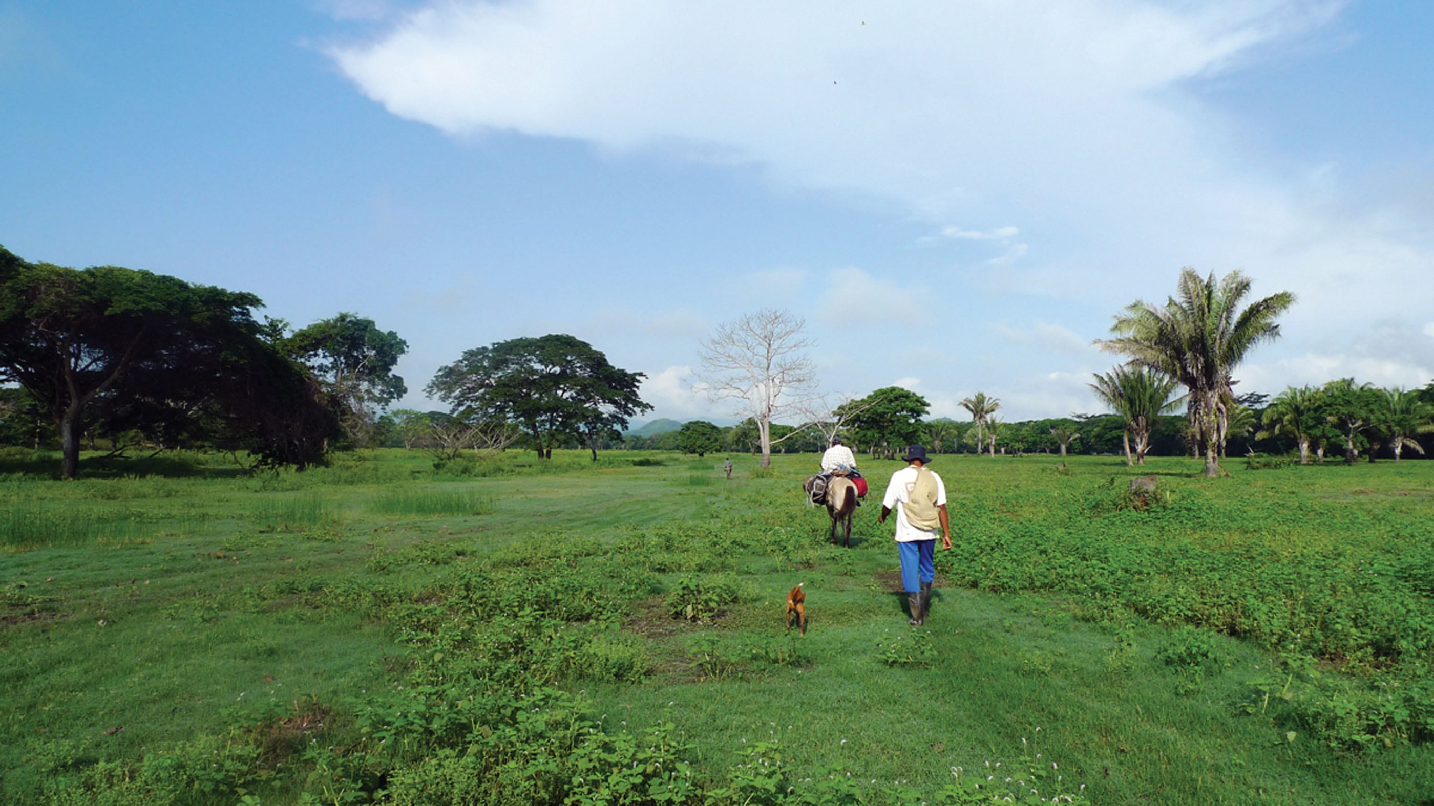 Imagen de referencia (COLPRENSA  FUNDACION CHASQUIS)