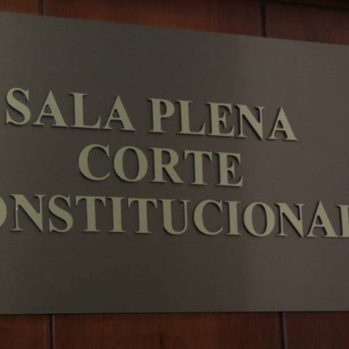 Los artículos de la Ley de Seguridad Ciudadana que tumbó la Corte
