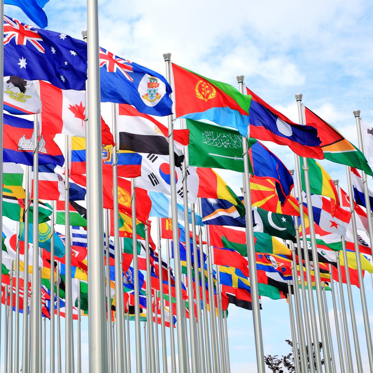 ¿Cuáles son las banderas más curiosas del mundo? Conozca la lista