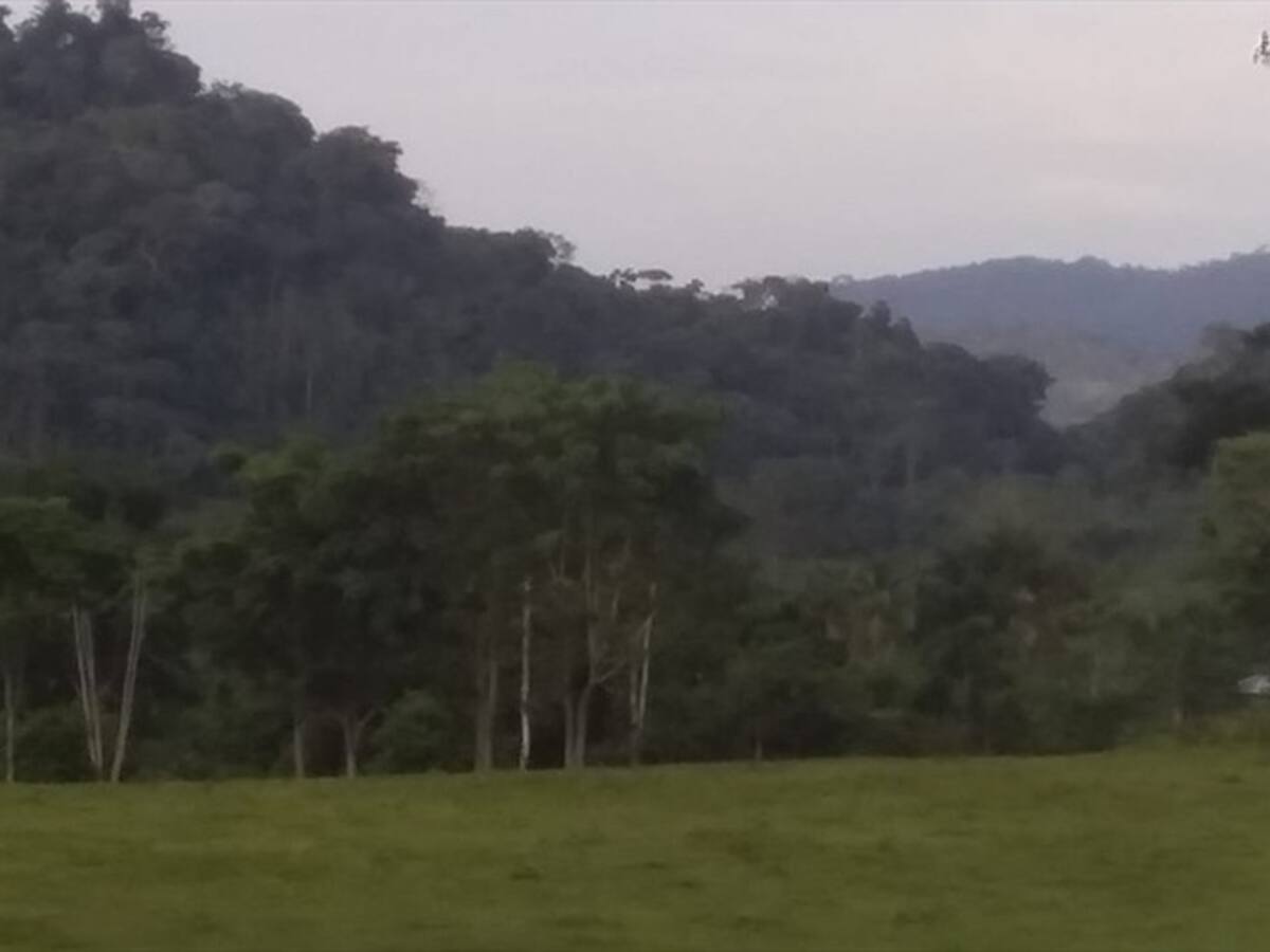 Dos campesinos heridos deja artefacto explosivo en el sur de Córdoba