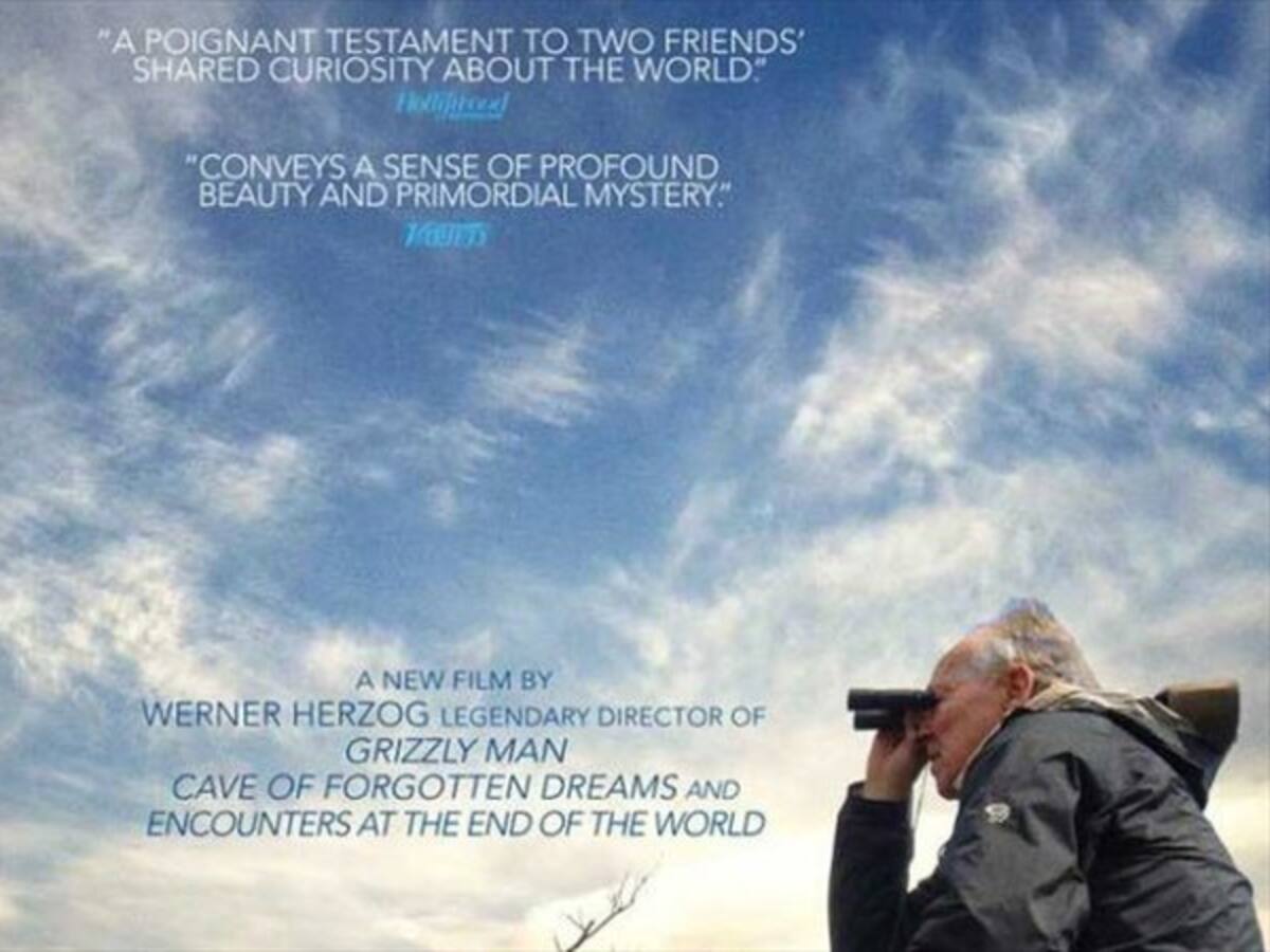 Cómo seleccionar una película perfecta en Indiebo