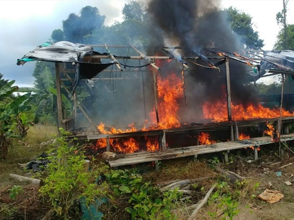 Destruyen dos laboratorios para procesar cocaína en Cauca