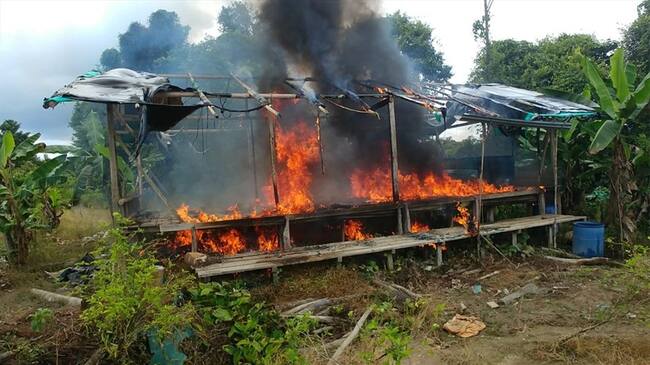 Destruyen dos laboratorios para procesar cocaína en Cauca. Foto: Armada Nacional