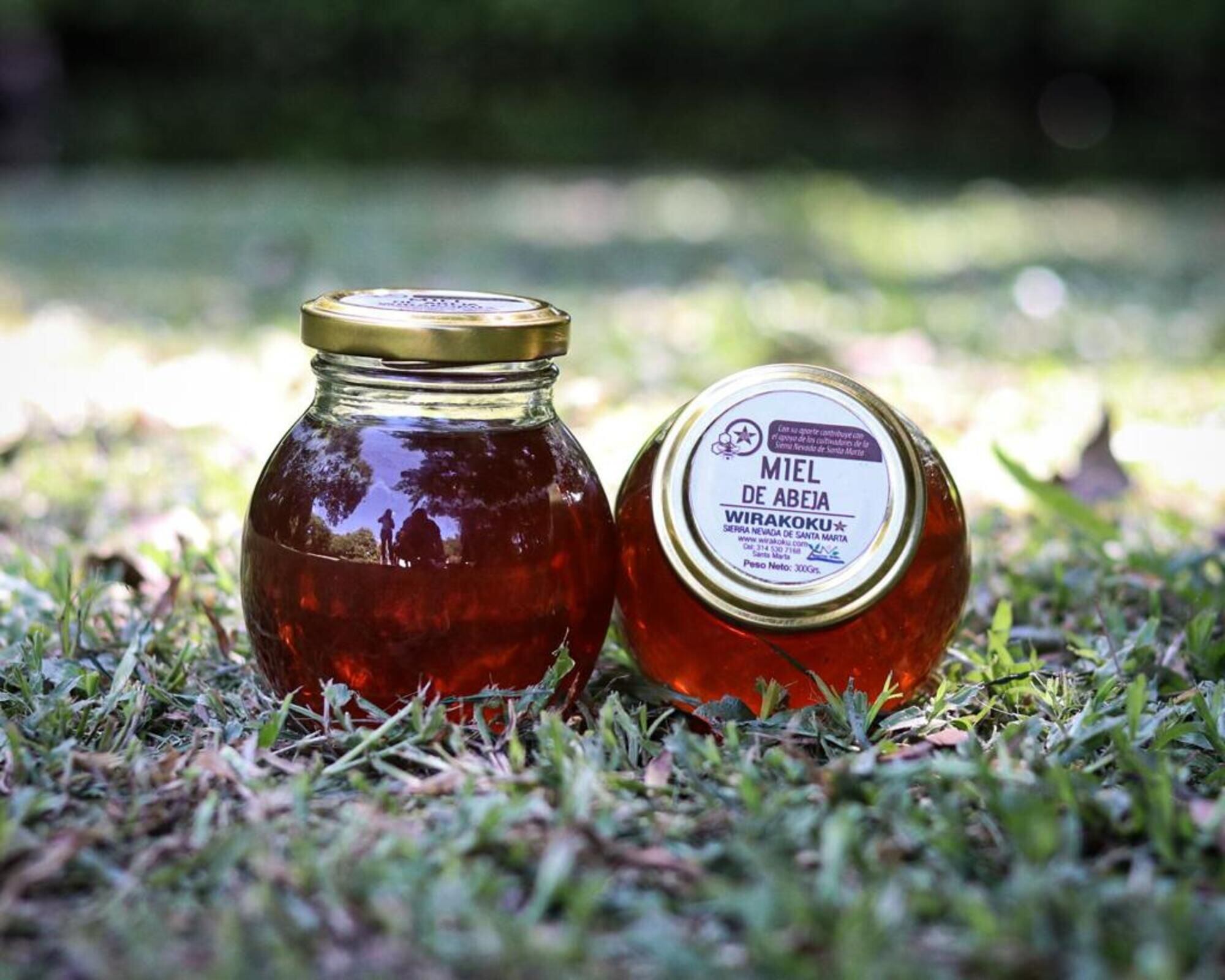 Logo de negocios verdes/ CORPAMAG