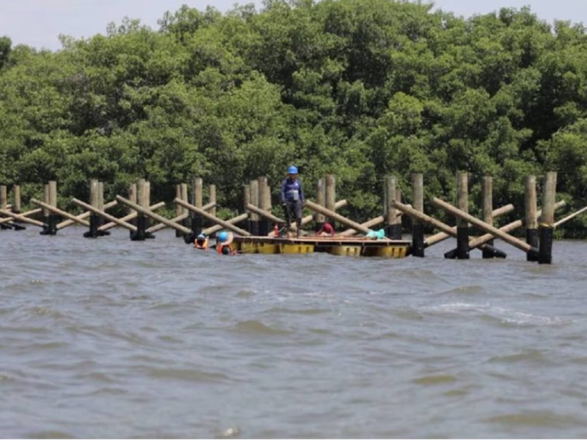 Autoridad ambiental advirtió sobre hurto de piezas metálicas en la ciénaga de Mallorquín