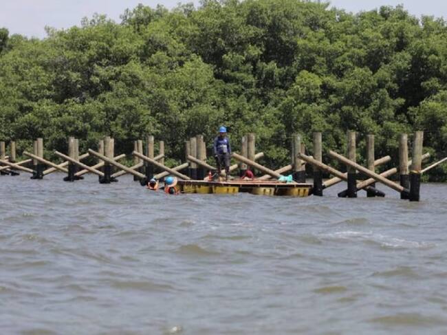Ecoparque Mallorquín (Cortesía Alcaldía de Barranquilla)