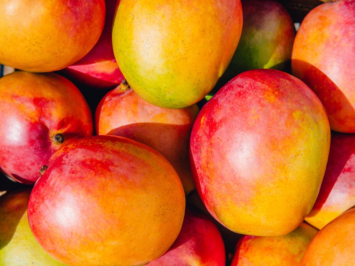 El mango colombiano recibe autorización para ingresar a Estados Unidos