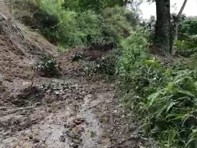 Alrededor de 29 municipios están afectados por las lluvias y las crecientes en ríos en el Valle del Cauca. Foto: Cortesía