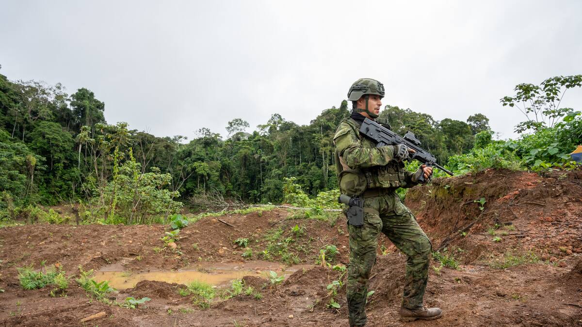 Ejército de Ecuador destruye dos campamentos que pertenecerían a disidencia del ELN