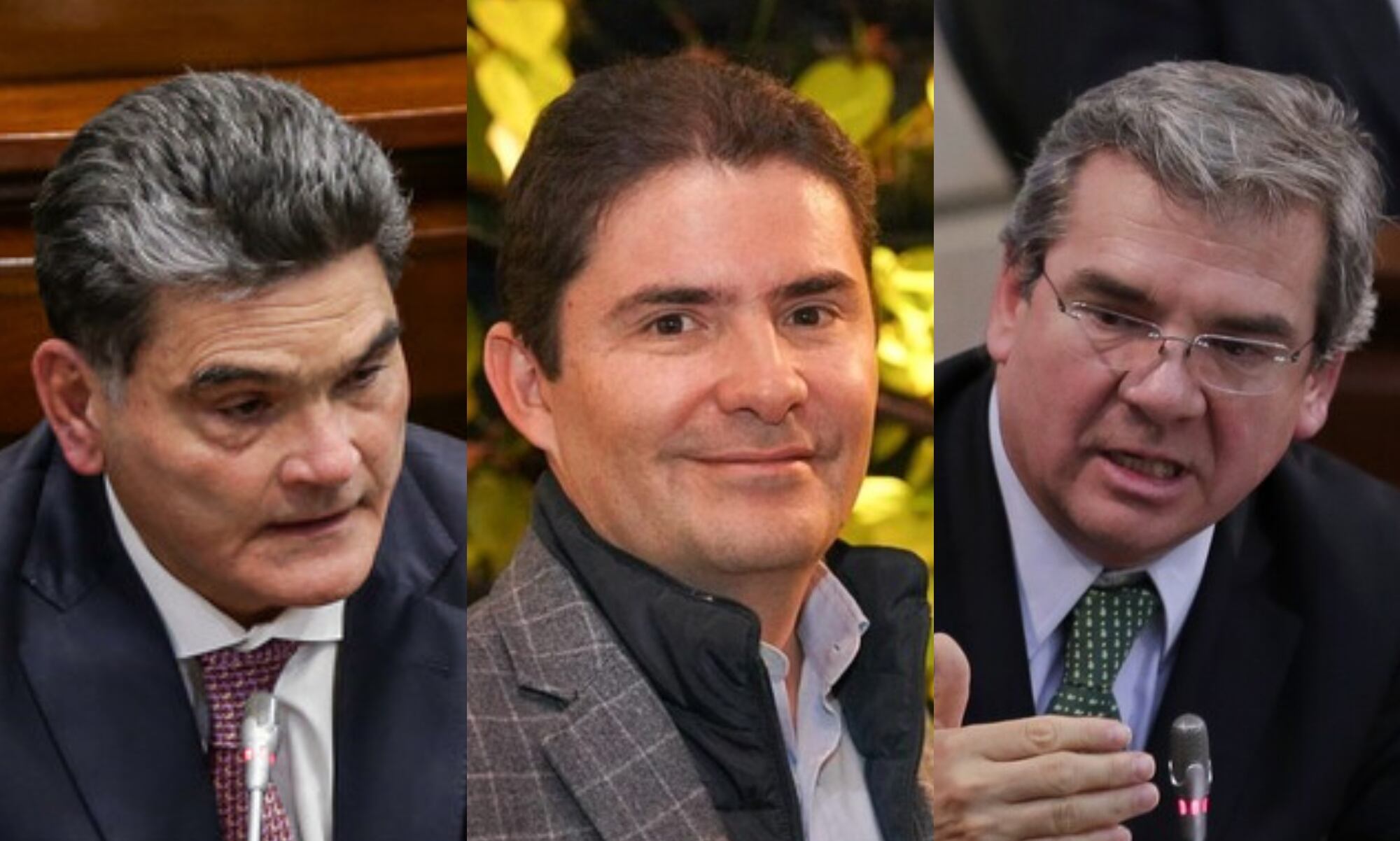 Ternados para procurador. Foto: Colprensa.