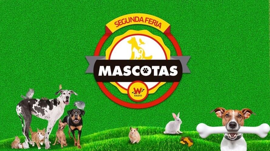 Feria de Mascotas W. Foto: Redacción Comercial