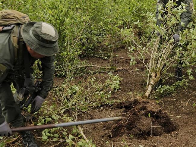 Enfrentamientos entre campesinos y la Policía por erradicación de cultivos ilícitos