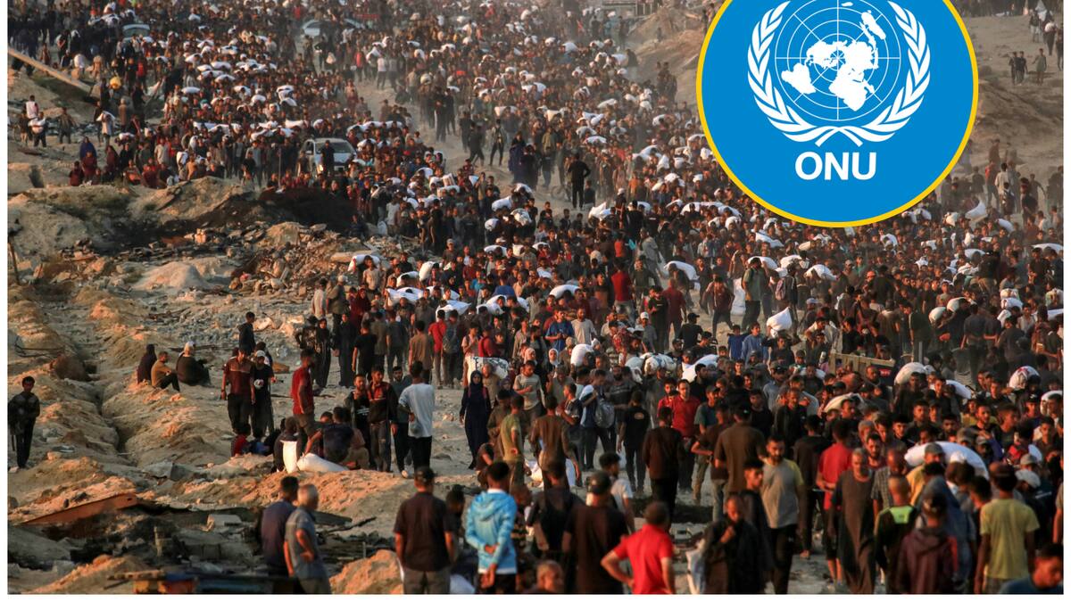 ONU reveló que más de 1.370 palestinos murieron en Gaza en entregas de ayuda desde finales de mayo