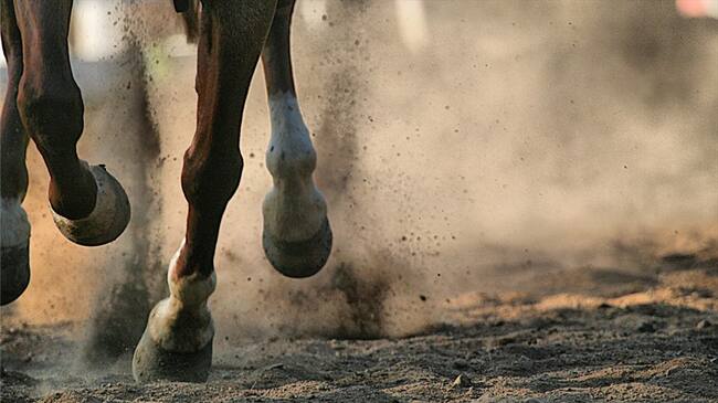 La clasificación para los Juegos Centroamericanos y del Caribe de Barranquilla contará con cuatro jinetes de alto reconocimiento. Foto: Getty Images