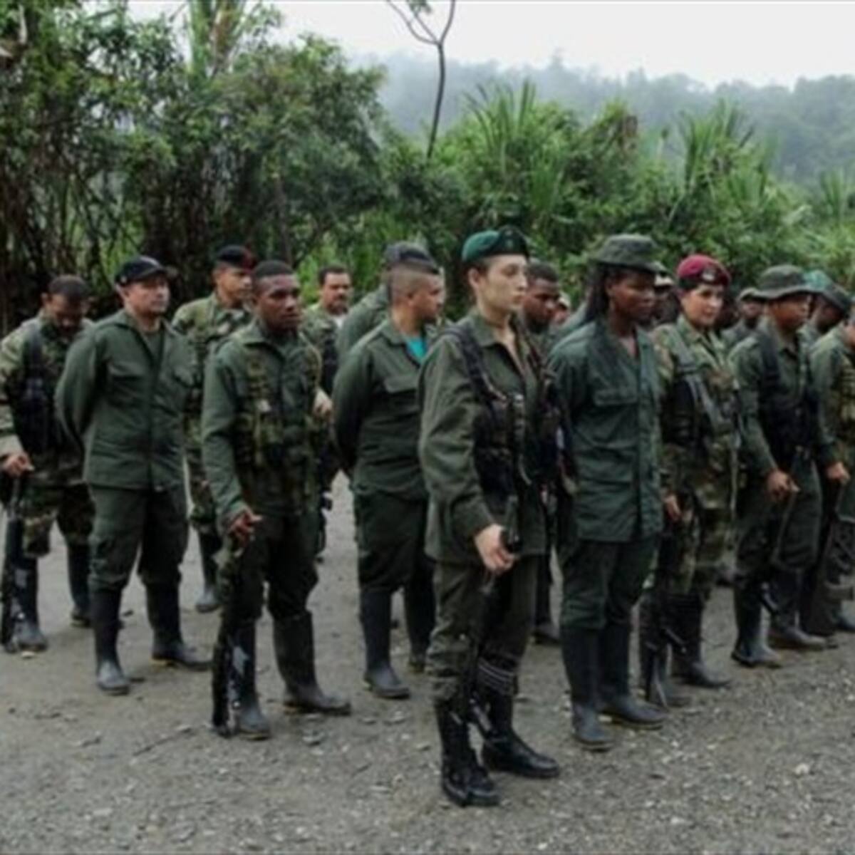 JEP expulsa a tres irlandeses que entrenaban en explosivos a Farc