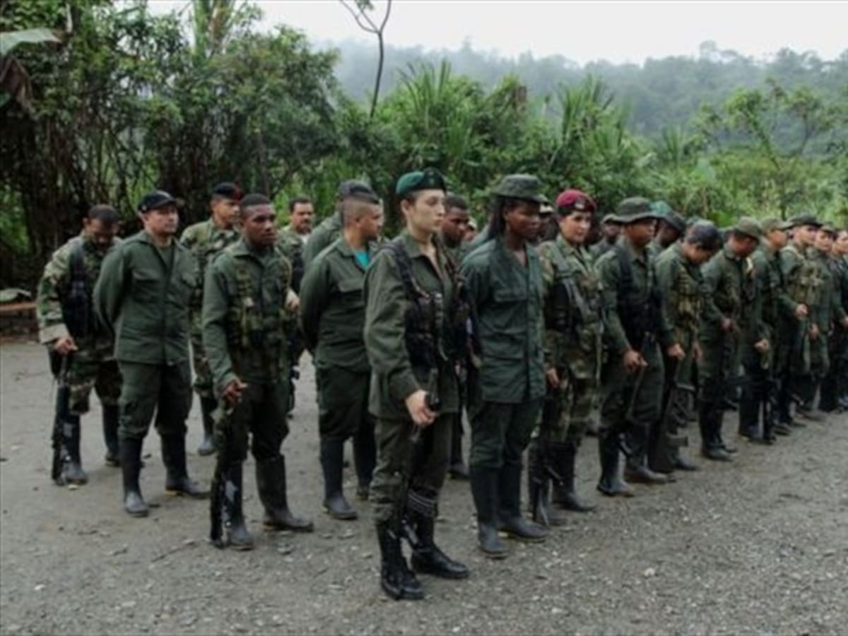JEP expulsa a tres irlandeses que entrenaban en explosivos a Farc