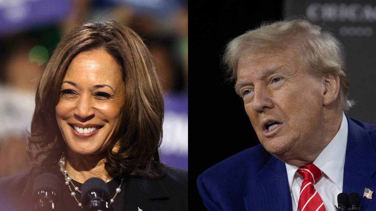 ¿Cuándo son las elecciones de Estados Unidos?