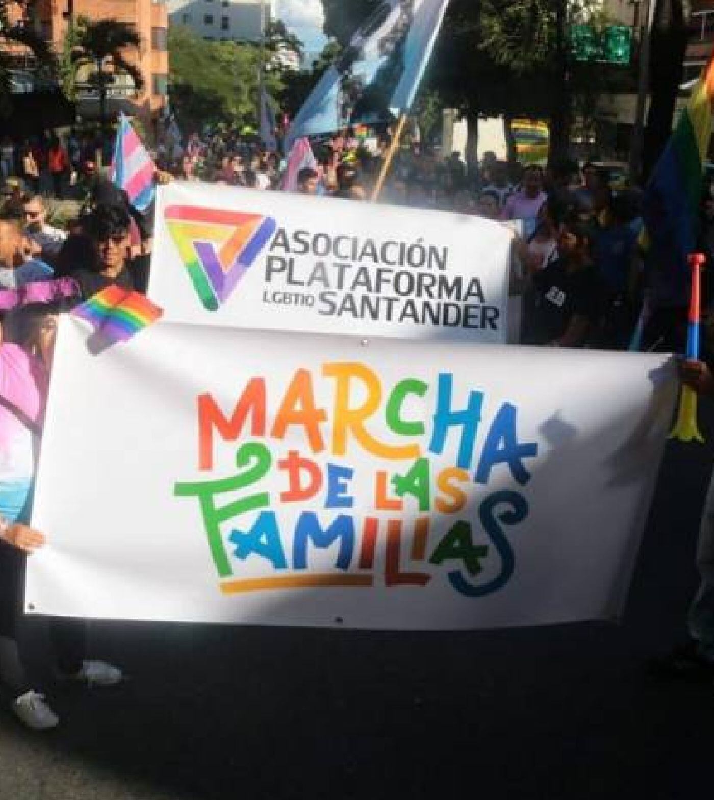 Lgbti / suministrada