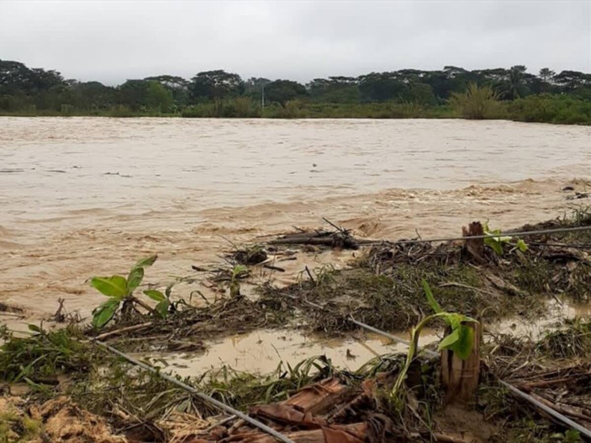 Fuertes vientos tendrían sin energía eléctrica al municipio de Valencia, Córdoba