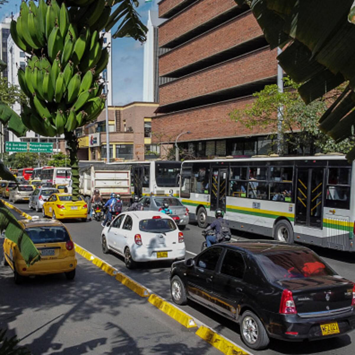Pico y placa en Medellín para hoy viernes 28 de enero