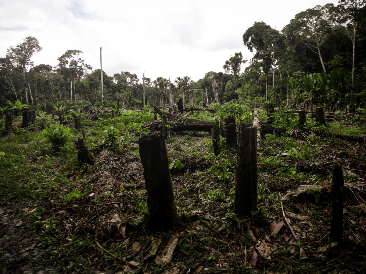Contraloría alertó sobre problemas relacionados con la gestión ambiental en el país