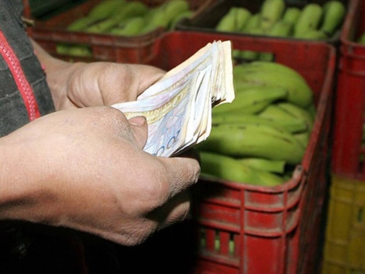 Iva a la canasta familiar no irá en la reforma tributaria