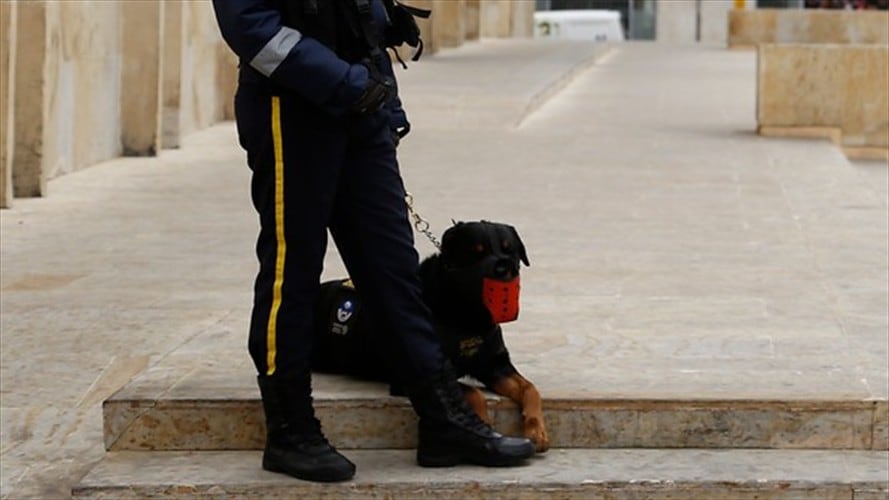 Según cifras de Ecos, el sector cuenta entre mujeres y hombres, con aproximadamente 4.000 operadores caninos, 18.000 supervisores, 12.000 operadores tecnológicos. Foto: Colprensa