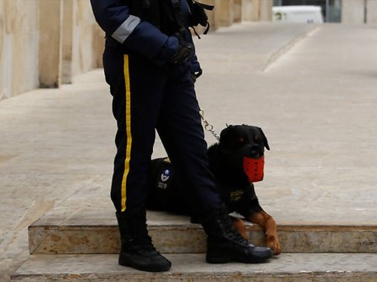 Sector de vigilancia privada solicita ser priorizado en vacunación contra el COVID-19