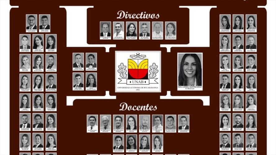 Mosaico Unab. Foto: Suministrada.