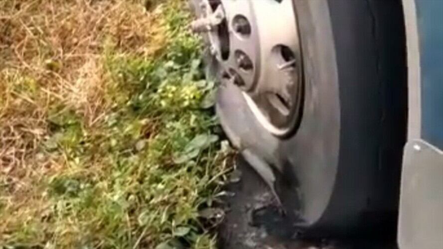 A través de un video, se evidenció el intento por quemar las llantas del vehículo.. Foto: Cortesía Carlos Jorge Vega