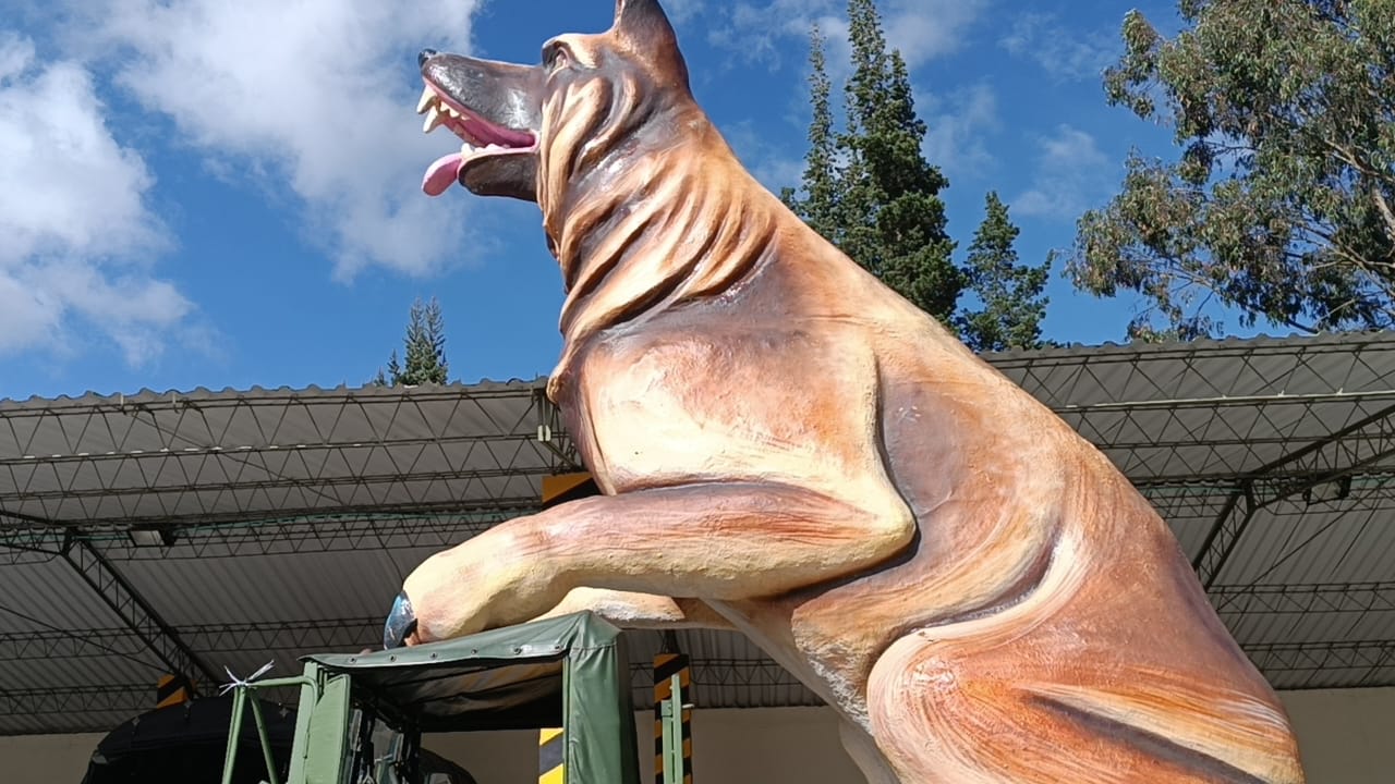 El perro Wilson, oriundo de Chiquinquirá, se convirtió en el héroe de la Operación Esperanza, y será homenajeado en el Aguinaldo Boyacense / Foto: W Radio