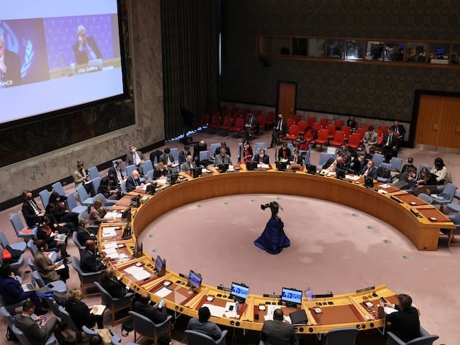 Consejo de la ONU sobre situación en Ucrania