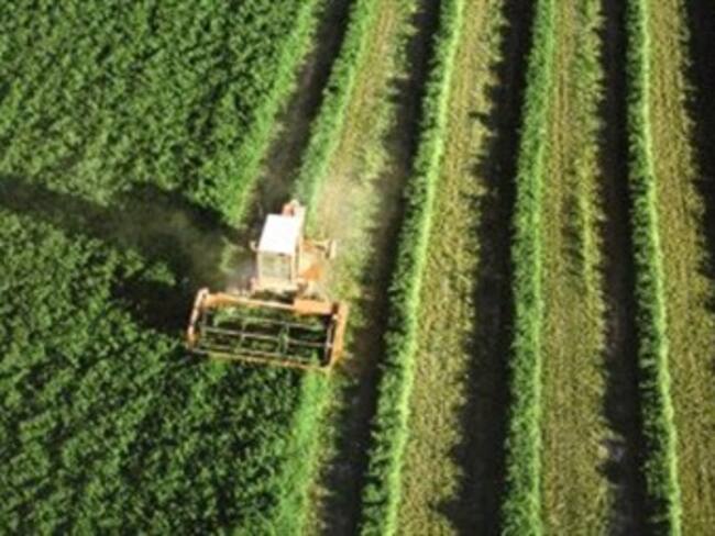 Colombia debe tramitar reforma al agro para que productor ingrese al mercado europeo: UE