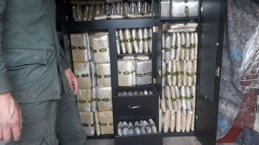 Se encontraron 1.033 kilogramos de marihuana tipo creepy avaluados en más de $1.000 millones de pesos. Foto: Policía Nacional