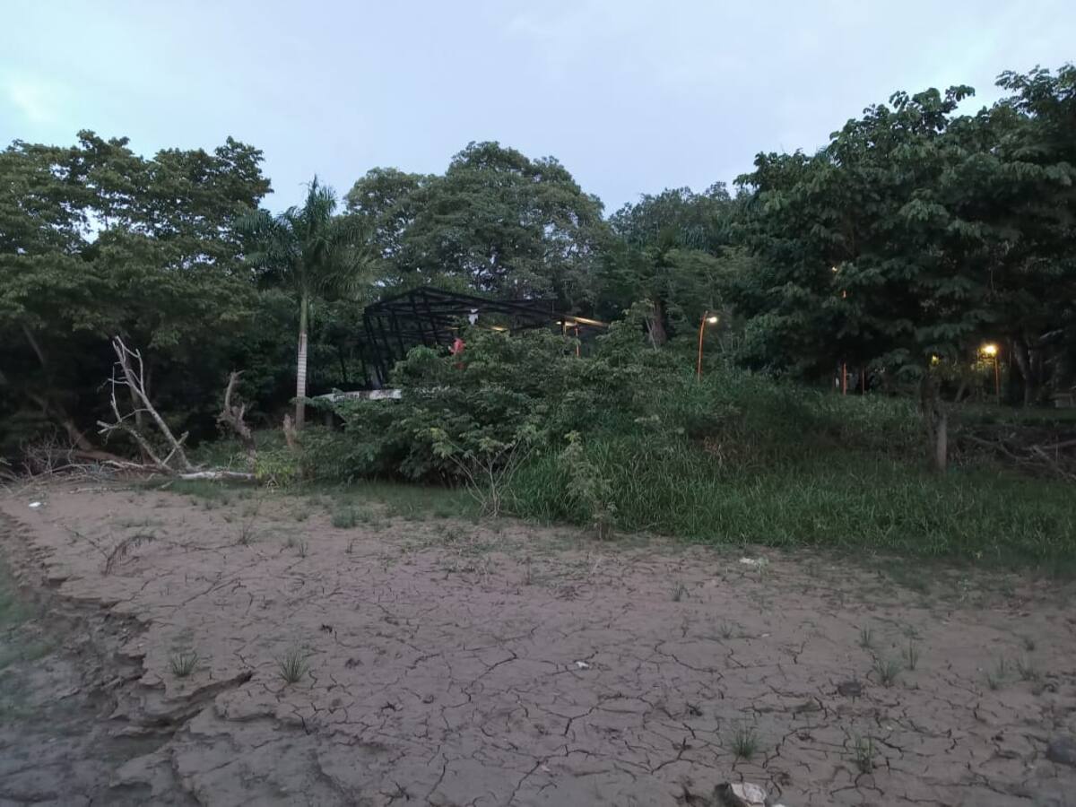 El sistema de transporte masivo de Montería no arrancó