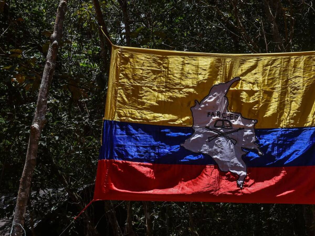 CIDH: estado reconoció responsabilidad por asesinato de Farc a dos campesinos