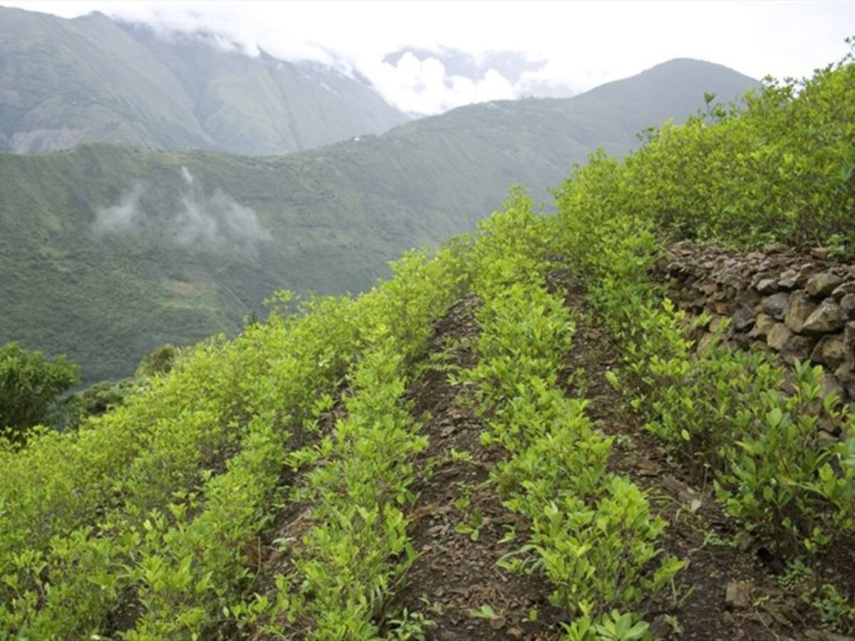 Narcotráfico debe ser combatido bilateralmente: Emilio Archila sobre EE.UU.