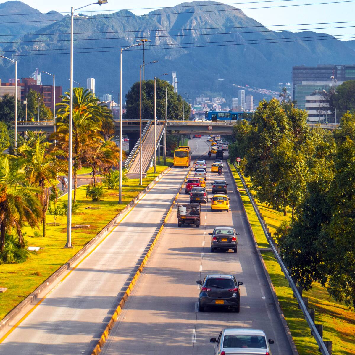 Análisis: ¿es viable la licencia de conducción por puntos?