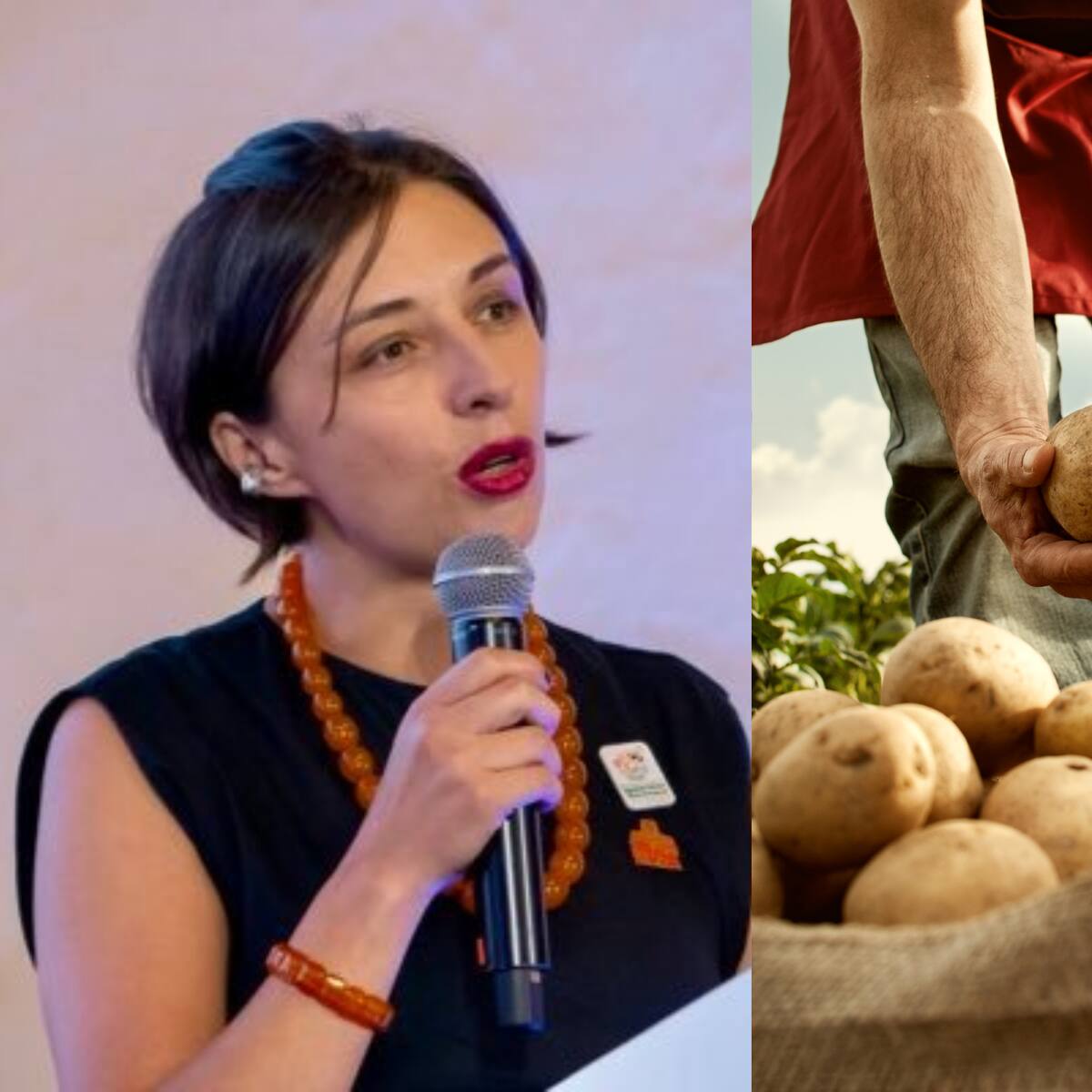 Paperos de Nariño piden soluciones ante bajos precios y pocas ventas: MinAgricultura responde