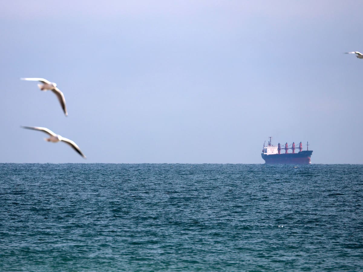 El Kremlin reconoce que el desastre por el vertido de fuel en el mar Negro es “muy grande”