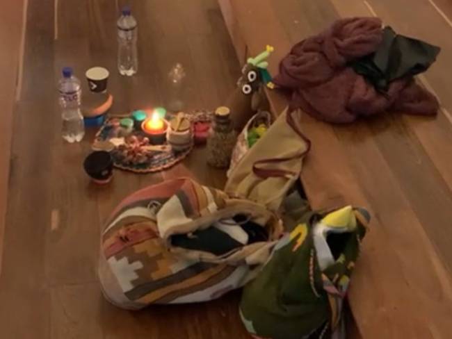 Peluche del Frailejón en el Congreso de la República. Foto: Congreso.