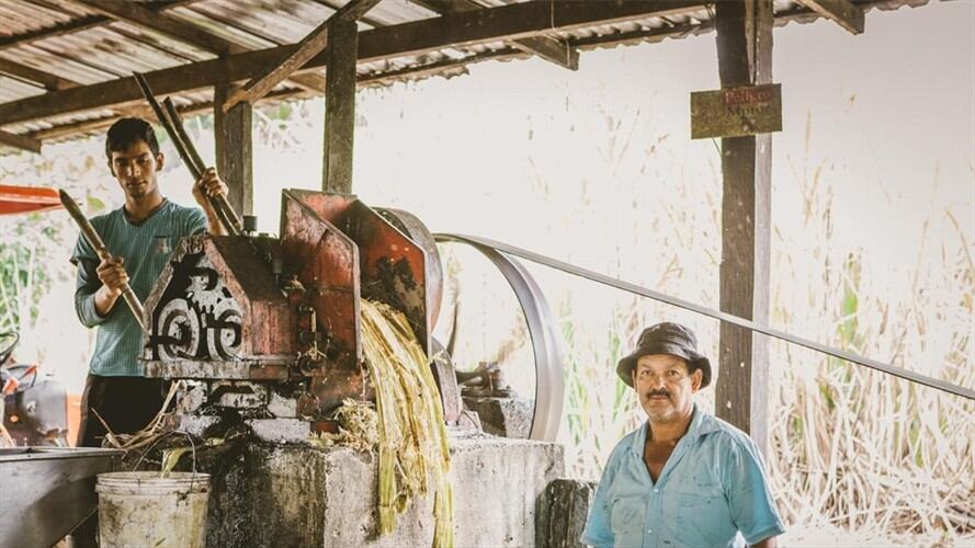 El pronunciamiento de la cartera agrícola, cerró enviando un mensaje de apoyo a las 350.000 familias productoras de panela. Foto: Cortesía