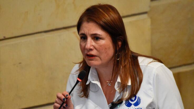 “Aprovecharon el alto al fuego para expandirse”: Iris Marín sobre grupos armados ilegales